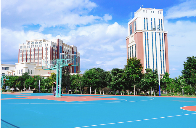 云南外事外语职业学院欢迎您：开启您的外语与外事职业之旅