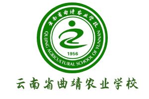 曲靖一中联办|国家公办免学费