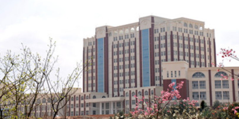 2025年云南外事外语职业学院：高就业率背后的实力密码