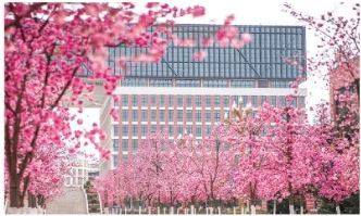 2025云南理工职业学院录取分数线详解