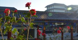 昆明卫生职业学院乱吗?谣言止于智者，揭秘真实校园风貌！