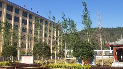 2025昆明市海亦丰高级中学高补本科上线率再创新高：优质教育，铺就学子本科之路