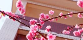 昆明市卫生学校2025年教学质量卓越：培育医疗精英的摇篮！