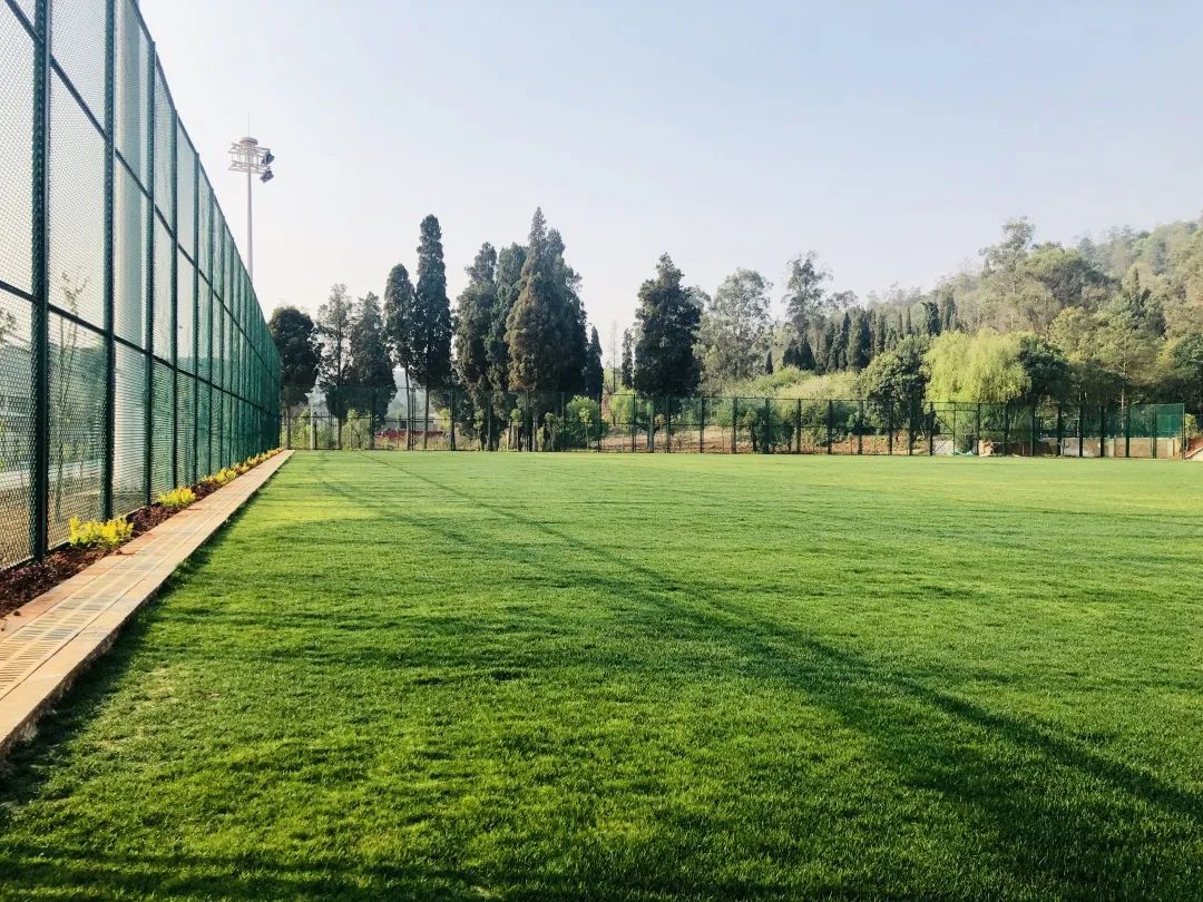 云南省高中学校排名前十私立揭晓