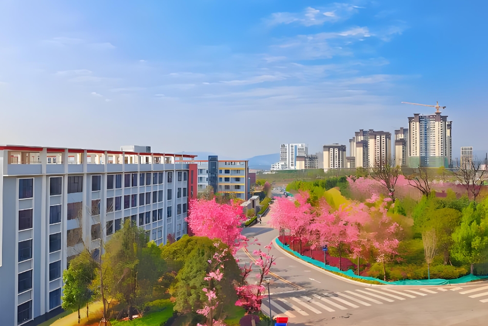 2025年云南轻纺职业学 院五年制大专学费多少解析：求学成本与价值权衡