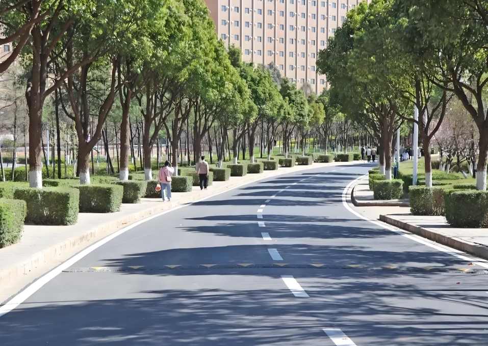 2025年昆明市卫生学校中专录取分数线：求学路的关键指引