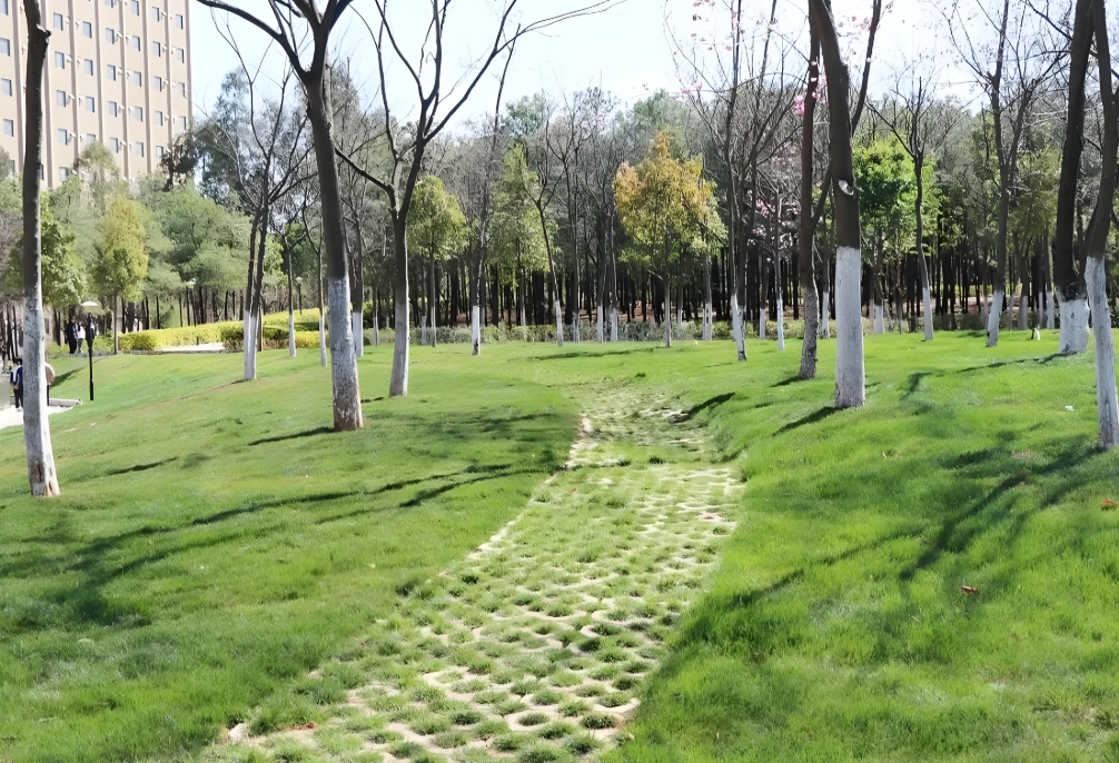 探索 2025年昆明市卫生学校三年制中专招生网：开启教育新征程