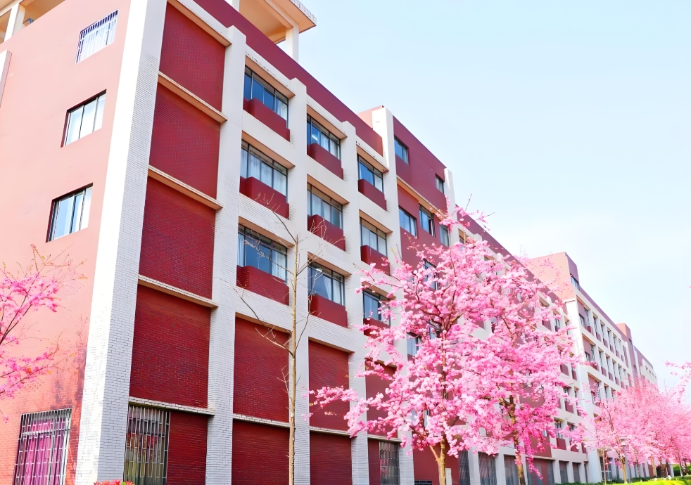 昆明市卫生学校2025年三年制中专教学质量：卓越教育的基石