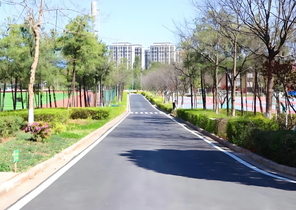 昆明市卫生学校职教高考班2025年怎么报名：开启梦想新征程