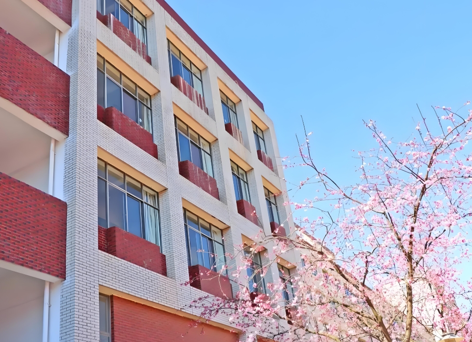 2025年昆明市卫生学校职教高考好就业吗：就业保 障，前景广阔