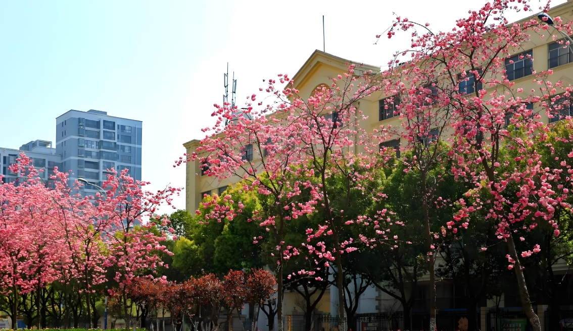 云南省电子信息高级技工学校2025年三&四年制中专分数线：报考关键指引