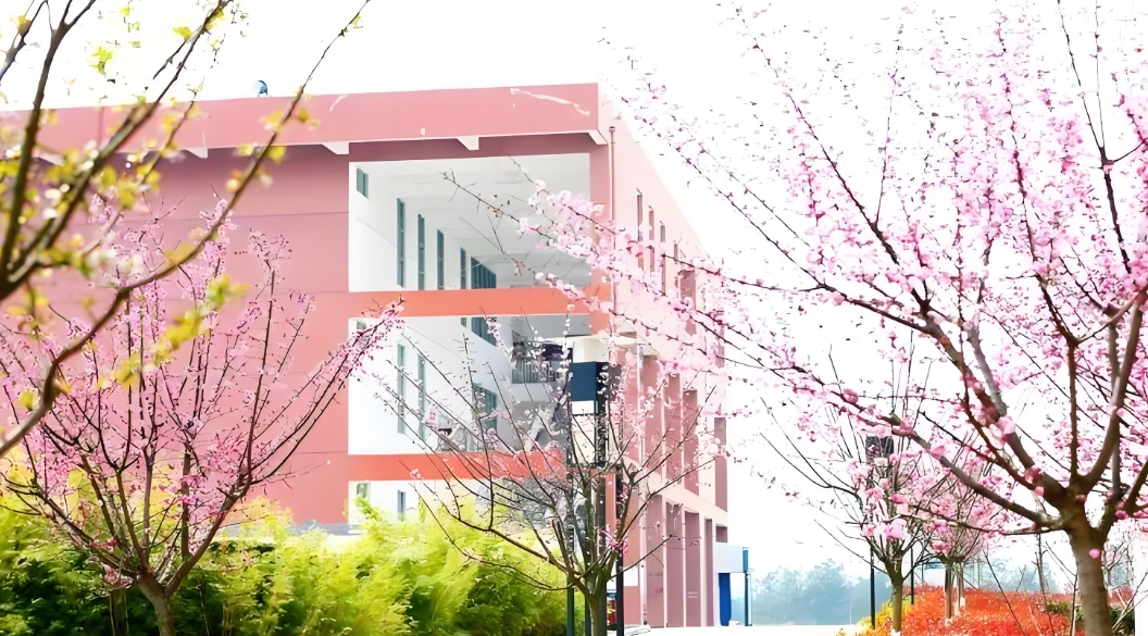 2025年云南省电子信息高级技工学校三&四年制中专校园环境：诗意学园，梦想摇篮