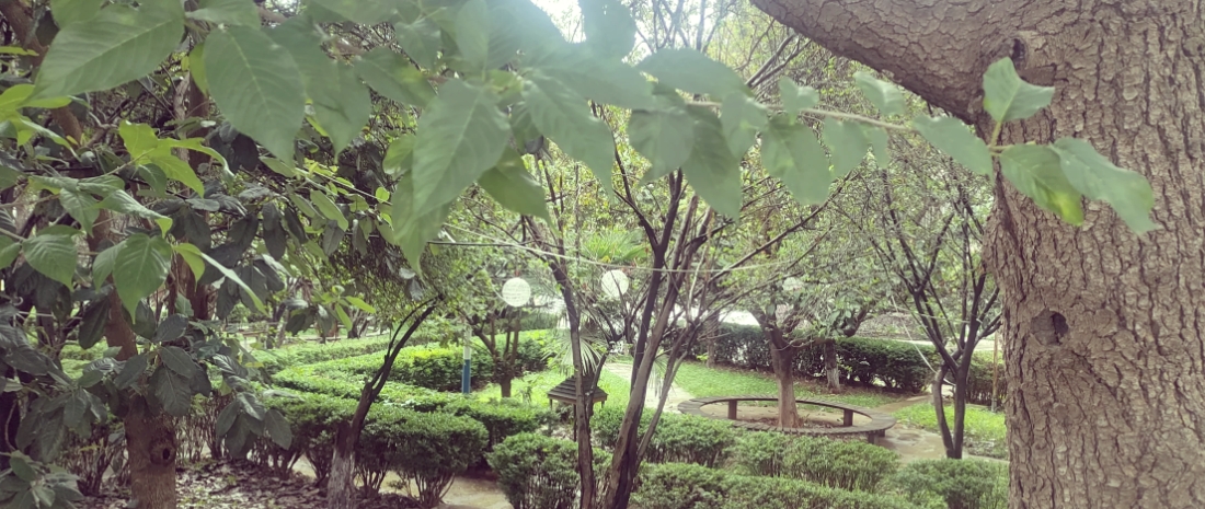 2025年昆明技师学院中专有哪些专业：多元选择，成就未来