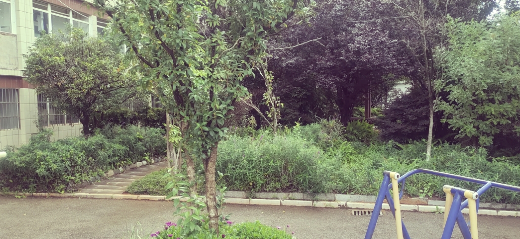 2025年昆明技师学院三&四年制中专院校排名：实力见证