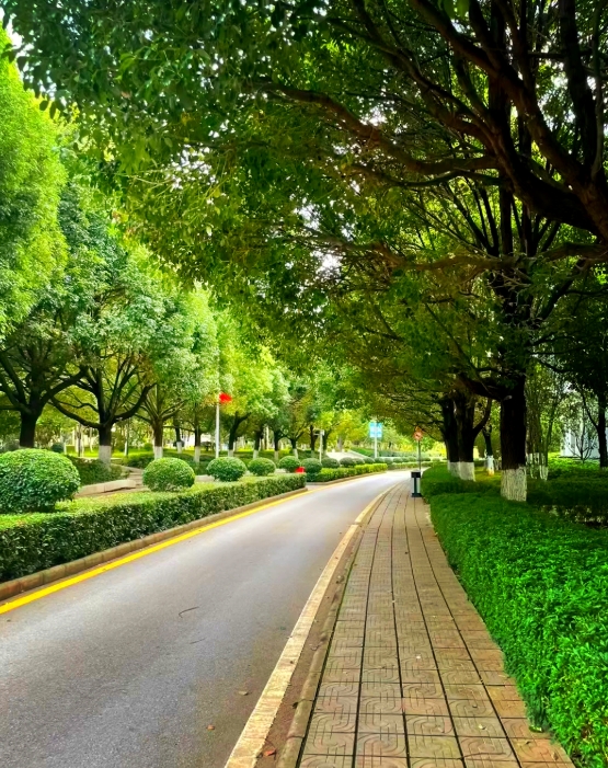 昆明技师学院职教高考2025年政策解读：开启求学新征程