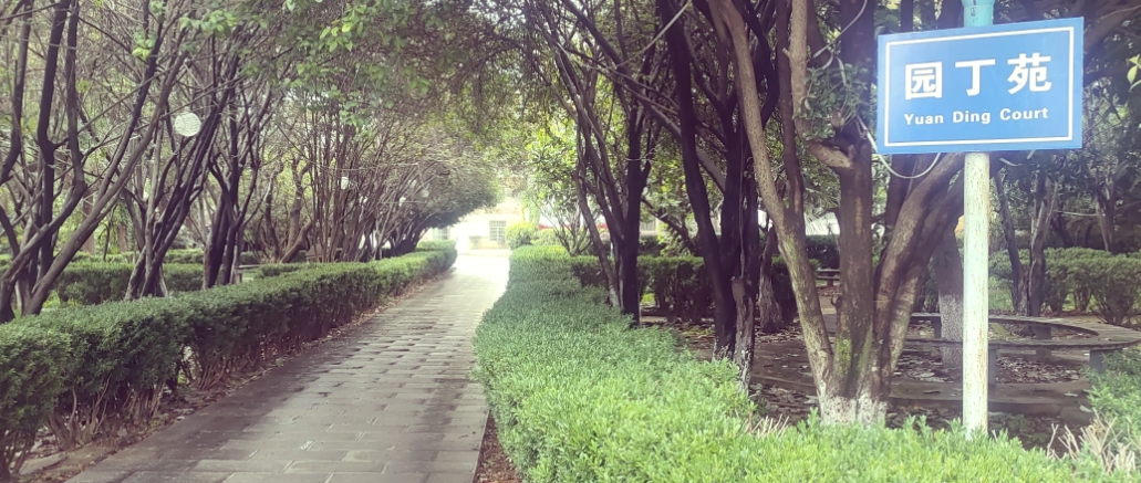 昆明技师学院2025年职教高考班在哪里：开启求知新征程