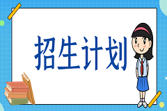 综合高中招生计划