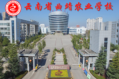 曲靖农业学校五年制大专联办招生专业