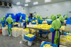 农产品贮藏与加工