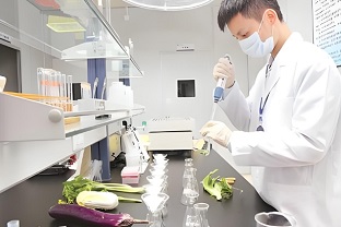 食品安全与检测技术