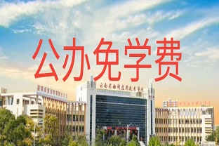 2023年曲靖应用技术学校学杂费收费标准