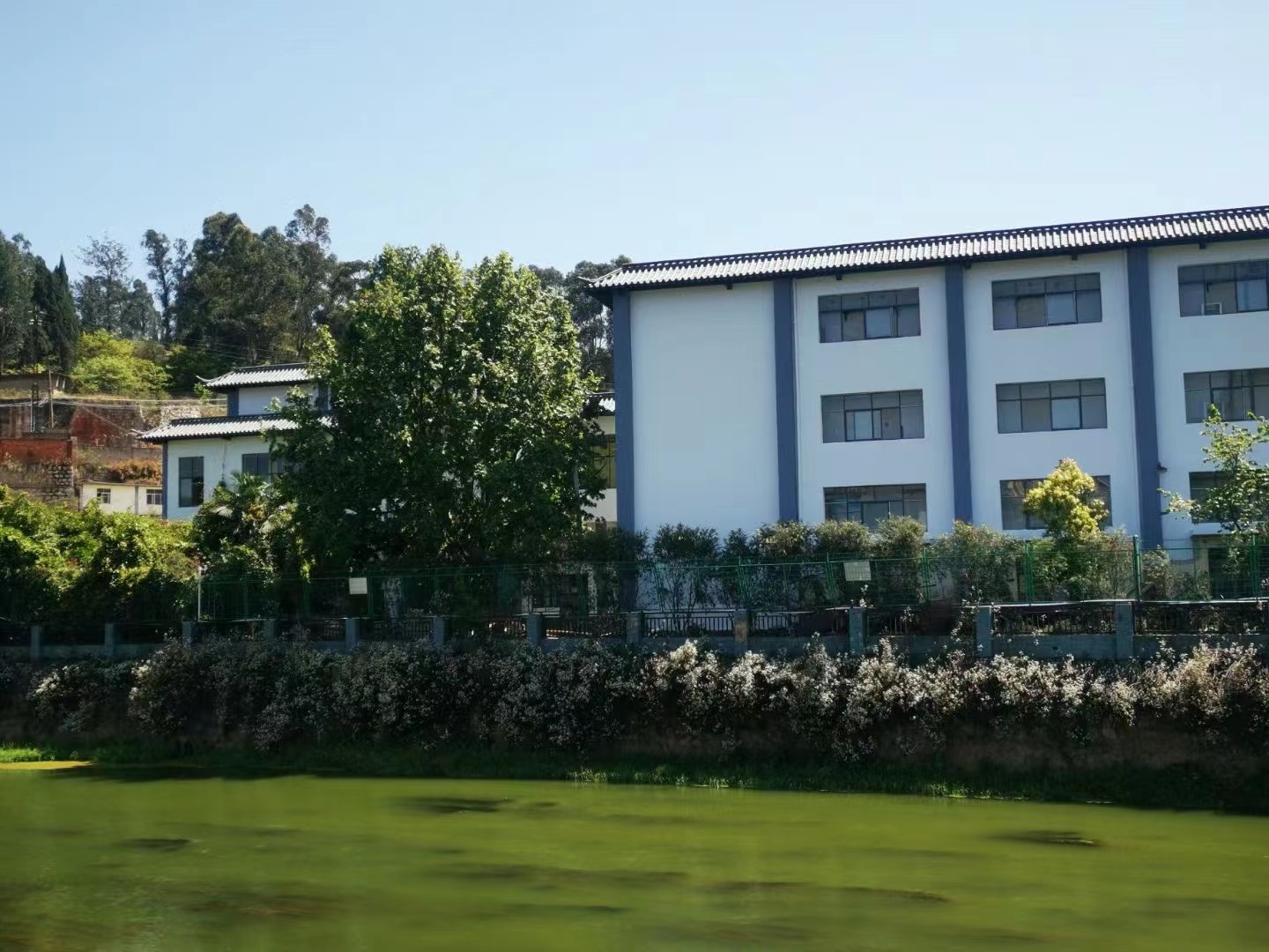 昆明市佑亦丰高级中学高考复读招生计划_招生人数及条件