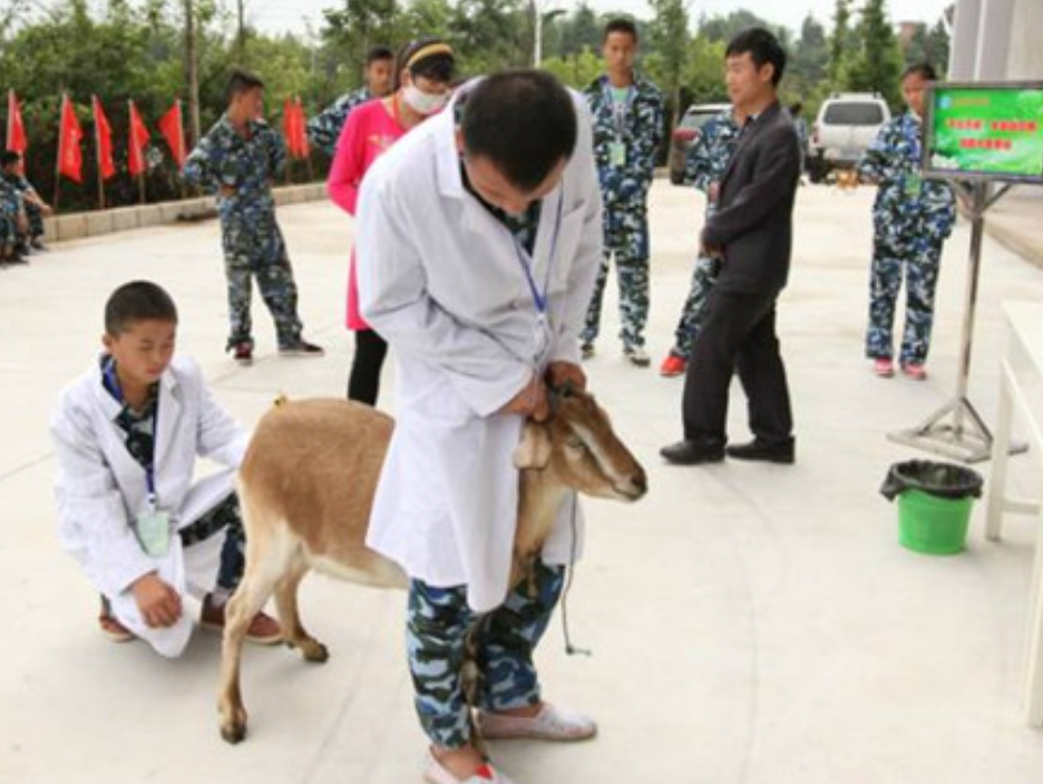 屏幕截图 2025-03-05 164103.png