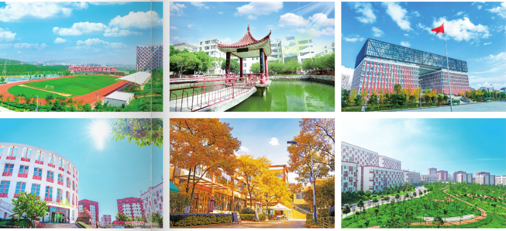 屏幕截图 2025-03-05 170917.png