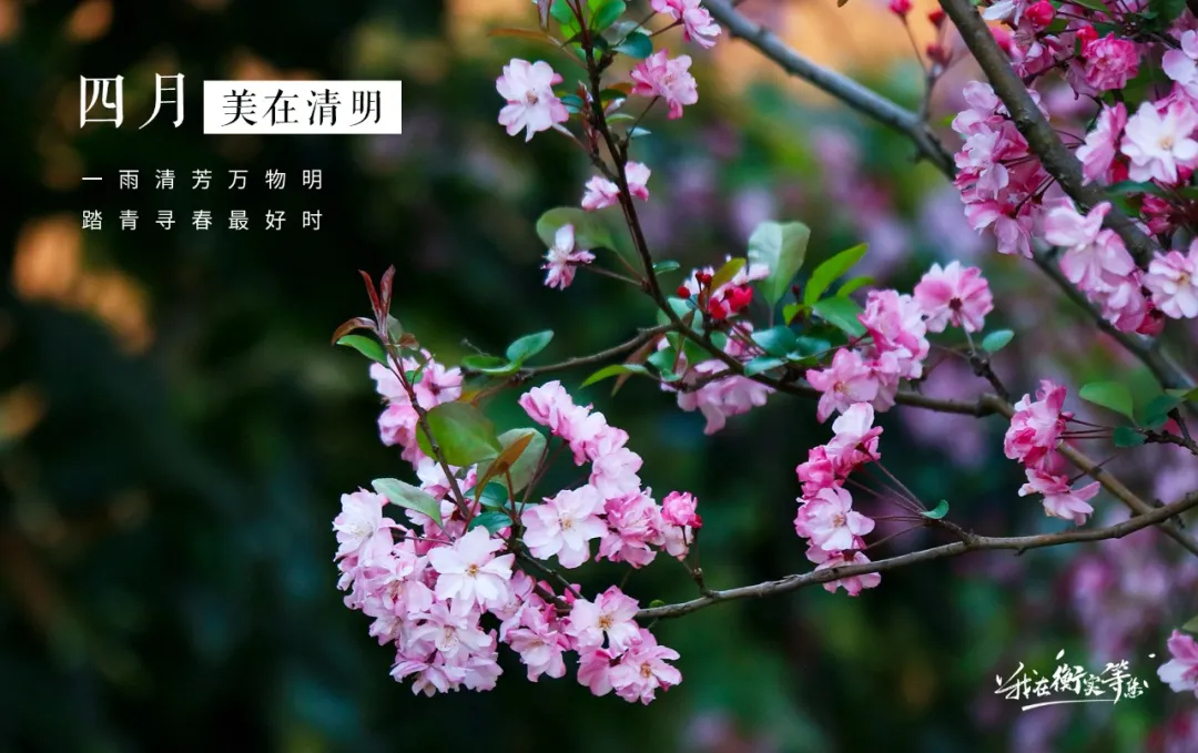 昆明市海亦丰高级中学高考复读分数线_多少分能进