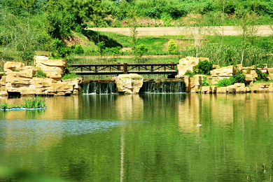 校园风景